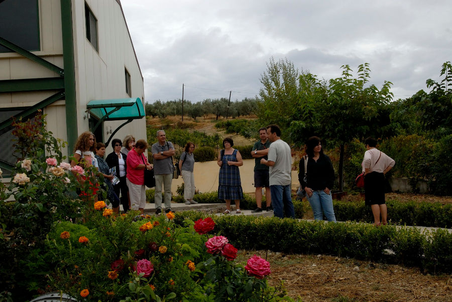 tourists listening to a man giving a tour at 'Wisdom of Nature' in the garden